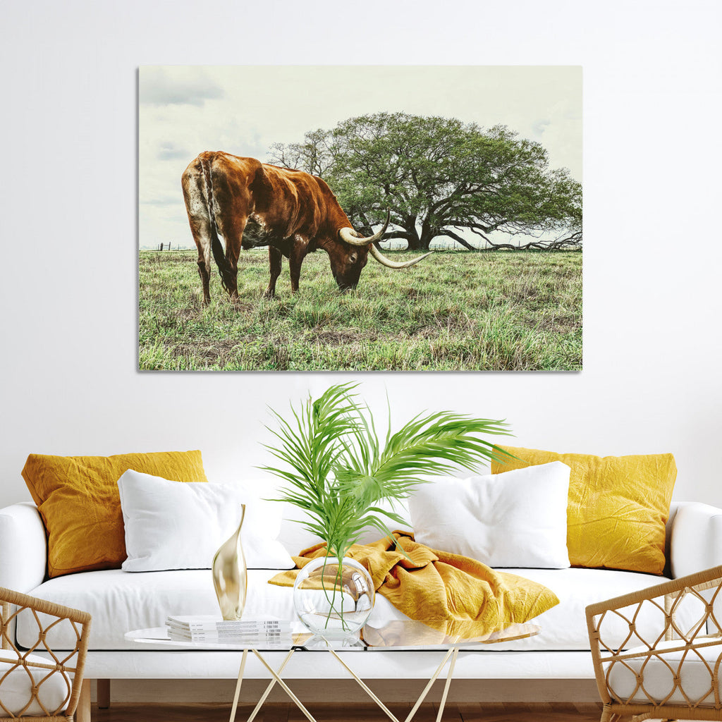 Texas Longhorn Wall Art Canvas Print, Rustic Western Ranch