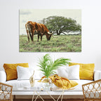 Texas Longhorn Wall Art Canvas Print, Rustic Western Ranch