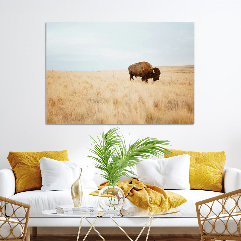 Buffalo Wall Art Canvas Print, Framed Western Wildlife Rustic Prairie Scene