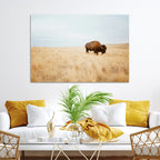 Buffalo Wall Art Canvas Print, Framed Western Wildlife Rustic Prairie Scene