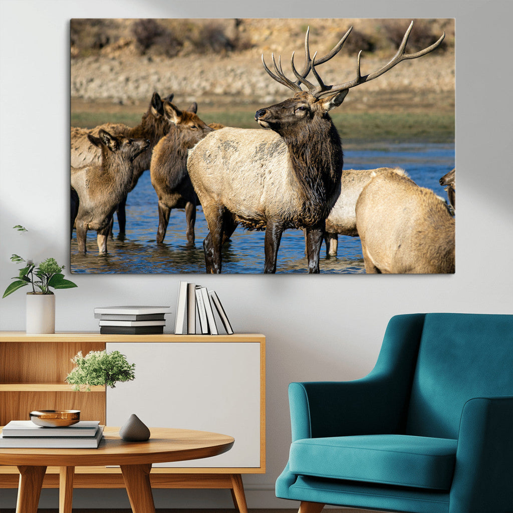 Wild Elk Wall Art Canvas Print, Framed Neutral Wildlife Scene