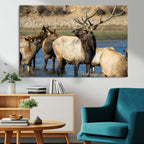 Wild Elk Wall Art Canvas Print, Framed Neutral Wildlife Scene