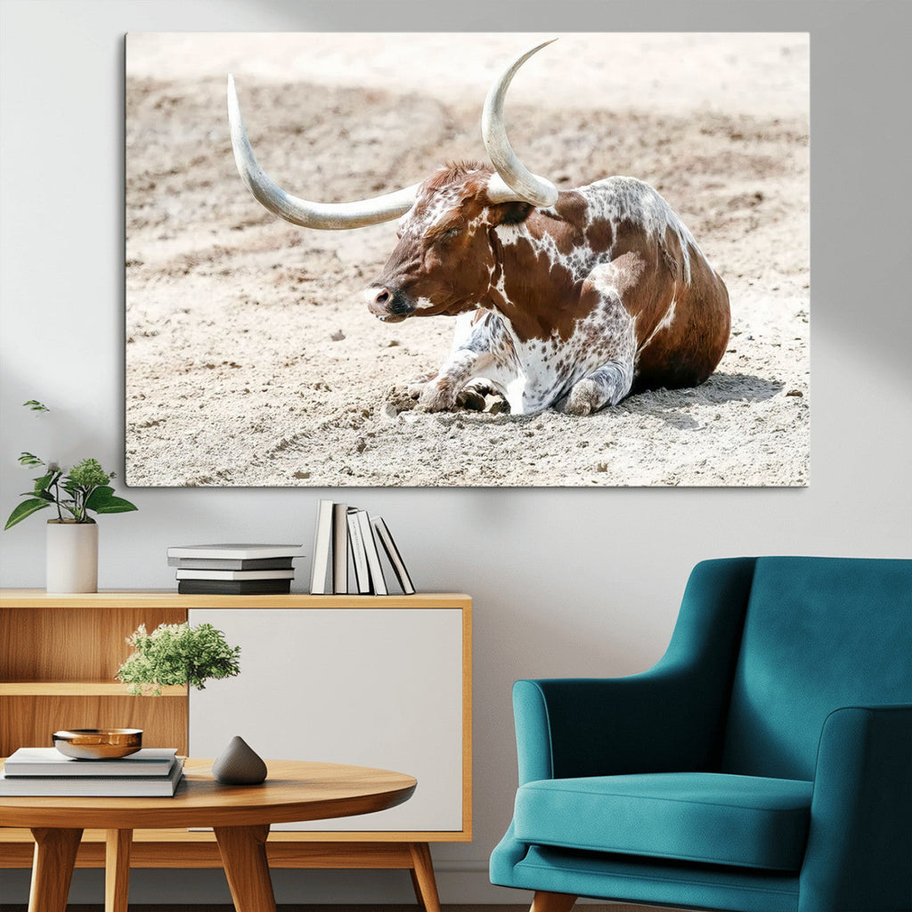 Majestic Longhorn Wall Art Canvas Print, Resting on Sunlit Desert Ground