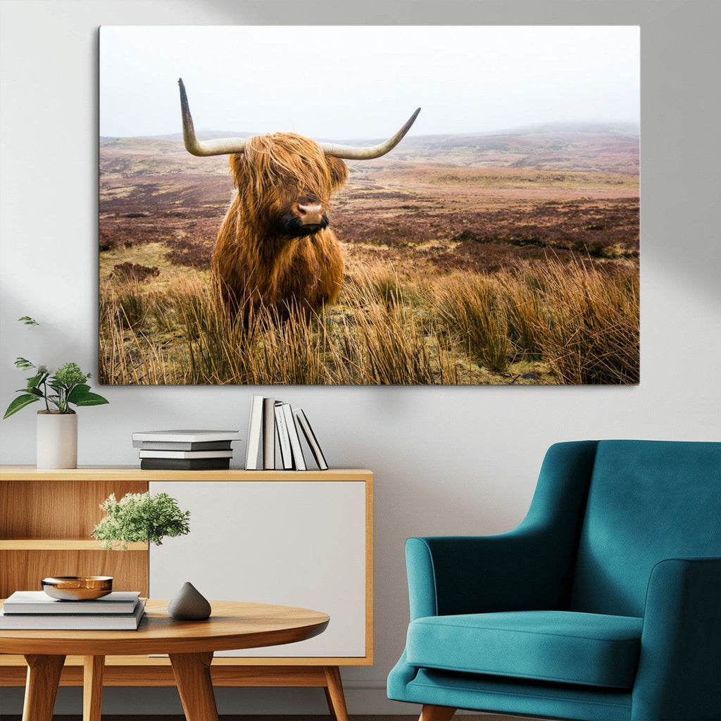 Scottish Highland Cow Canvas Wall Art, Rustic Farmhouse Decor