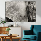 Elephant Wall Art Canvas Print
