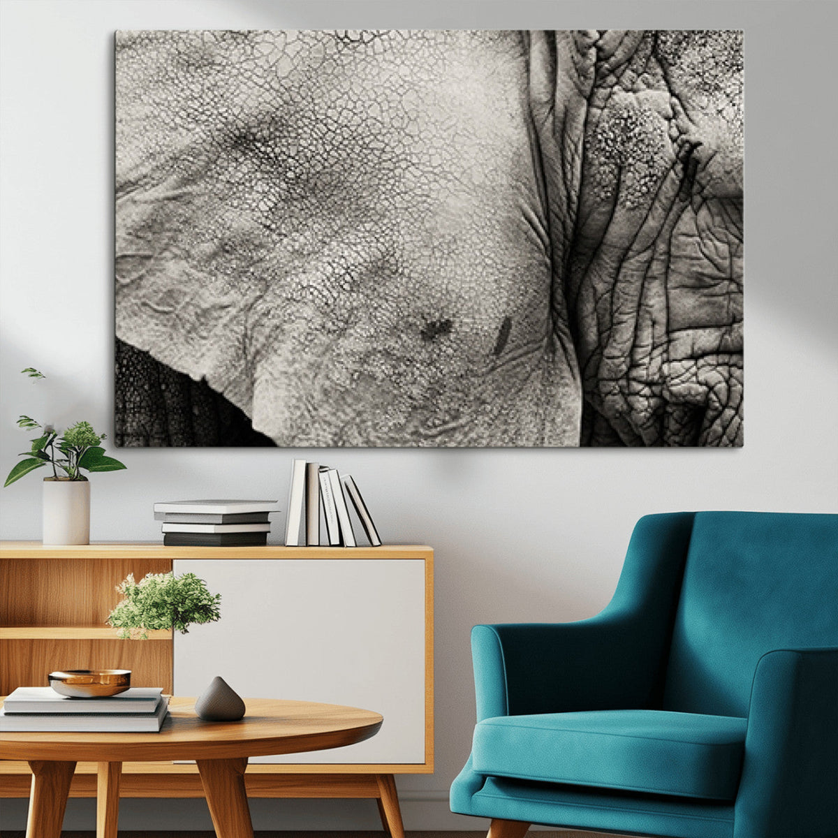 Elephant Wall Art Canvas Print