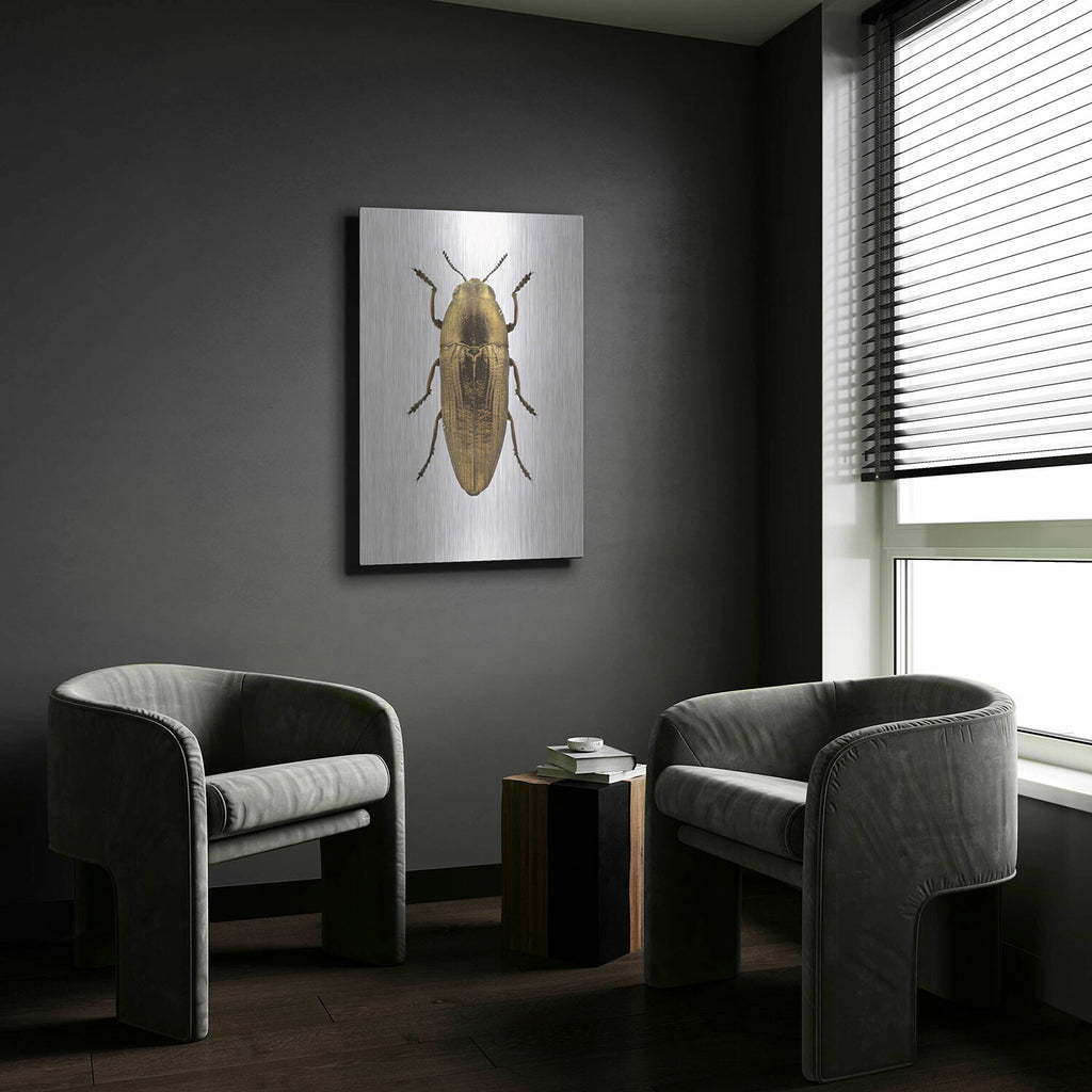 Beetle 4