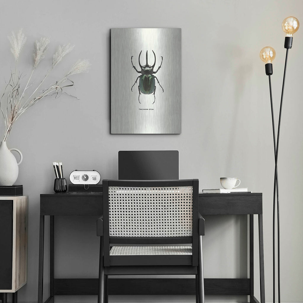 Beetle Black