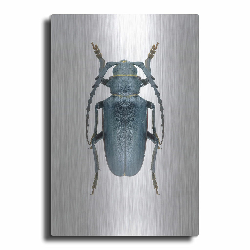 Beetle 3