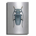 Beetle 3