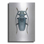 Beetle 3