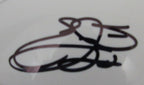 Emmitt Smith HOF Autographed Speed Mini Football Helmet Cowboys PROVA