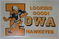Vintage Iowa Hawkeyes Pride of Iowa Postcard 148860