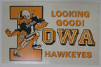 Vintage Iowa Hawkeyes Pride of Iowa Postcard 148860