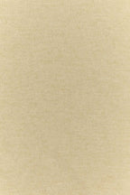 Prada Women Sand Silk Blend Scarf