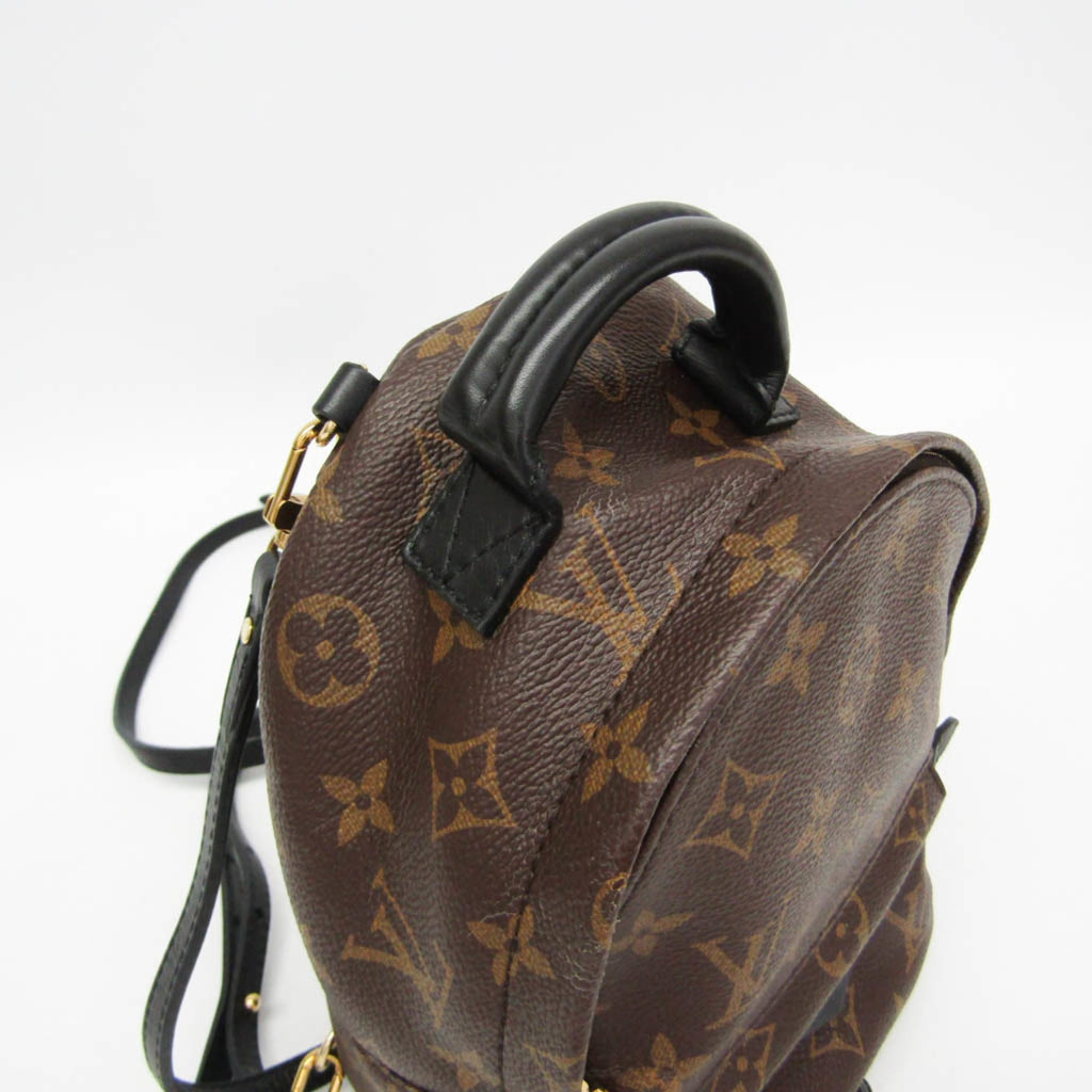 Louis Vuitton Monogram Palm Springs Mini