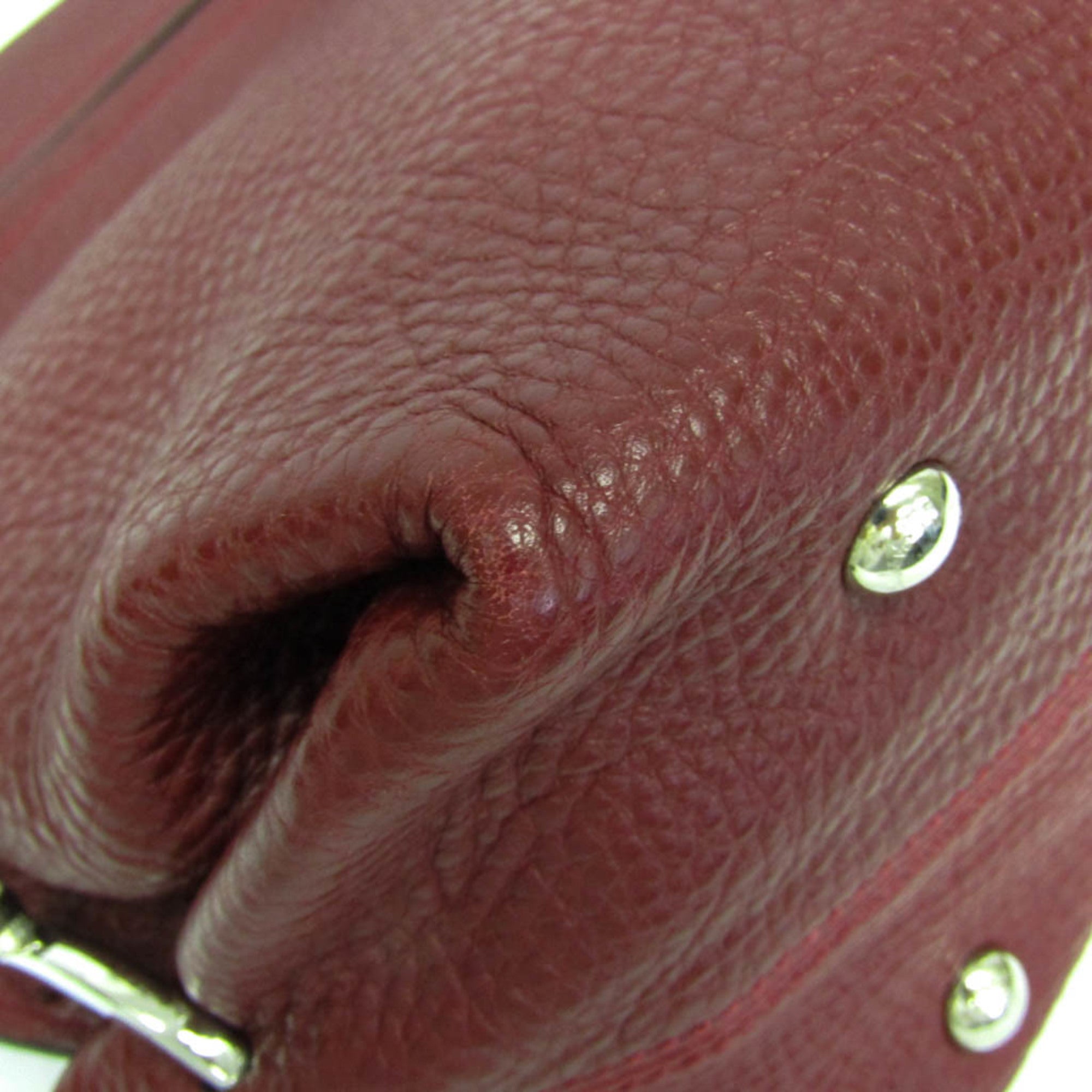 Salvatore Ferragamo Gancini Medium Sophia