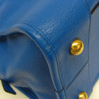 Loewe Amazona 36 · Limited Edition · Calfskin