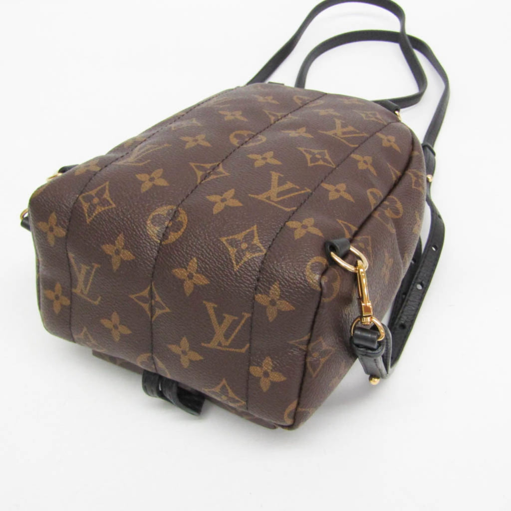 Louis Vuitton Monogram Palm Springs Mini