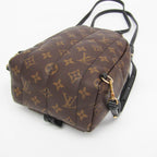 Louis Vuitton Monogram Palm Springs Mini