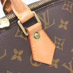 Louis Vuitton Alma · Monogram