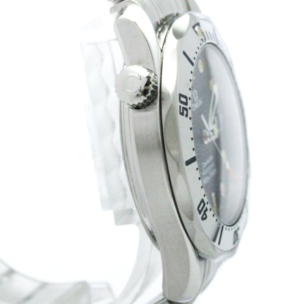 Omega Seamaster Professional 300M · Steel