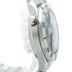 Omega Seamaster Professional 300M · Steel