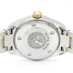 Omega Seamaster Aqua Terra · 18K Gold & Steel