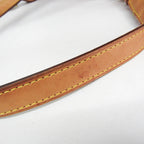 Louis Vuitton Montsouris MM · Monogram