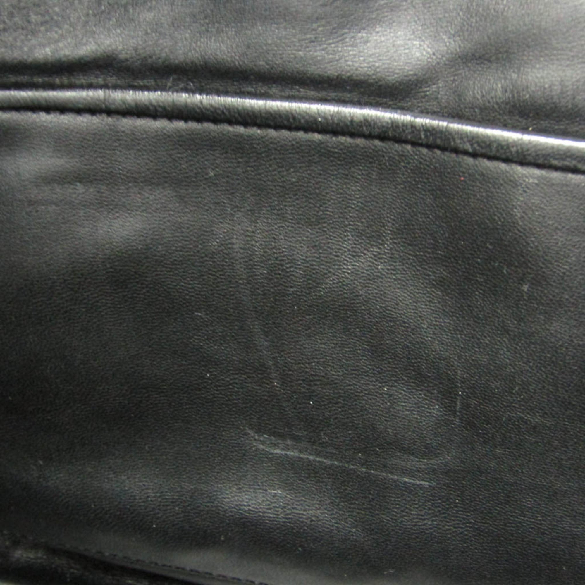 Loewe Amazona 36 · Limited Edition · Calfskin