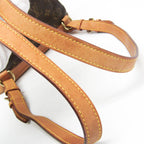 Louis Vuitton Montsouris MM · Monogram