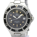 Omega Seamaster Professional 200M · Steel