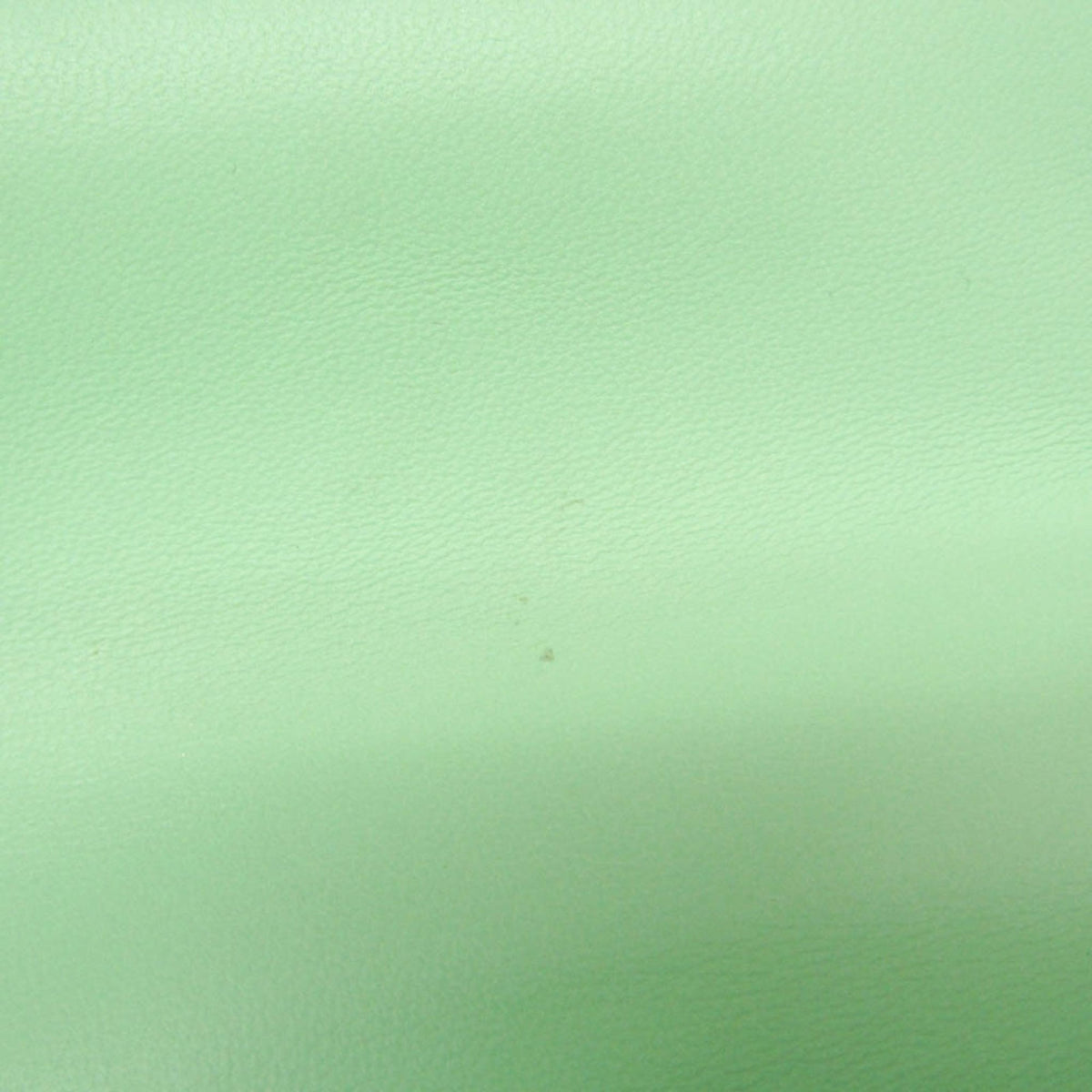 Bottega Veneta Mount · Chain Shoulder · Leather