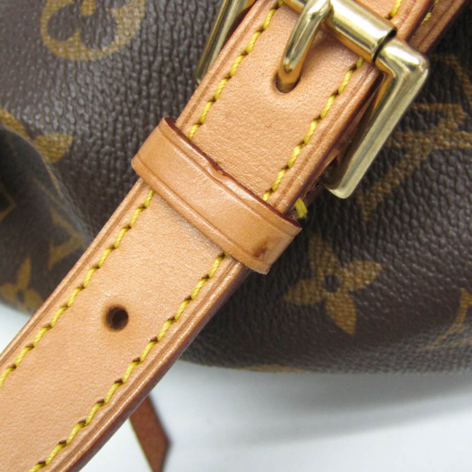 Louis Vuitton Montsouris MM · Monogram