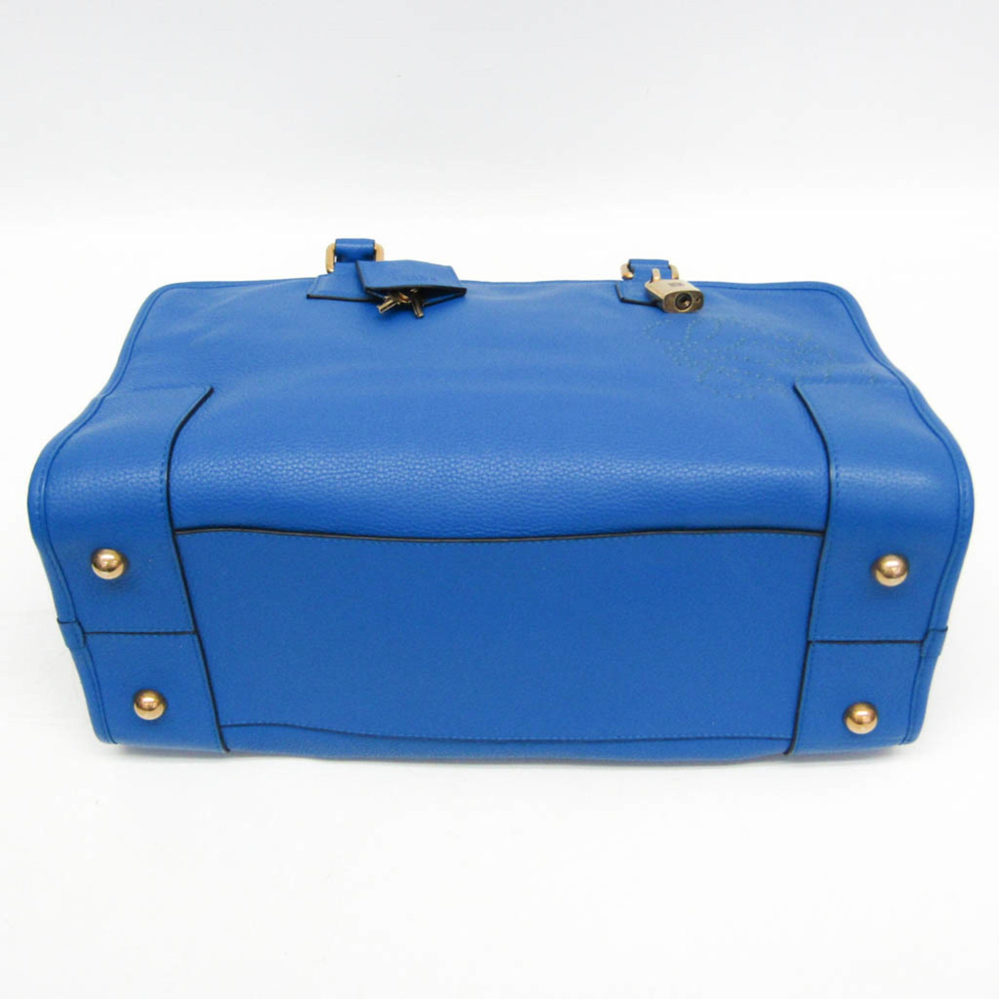 Loewe Amazona 36 · Limited Edition · Calfskin