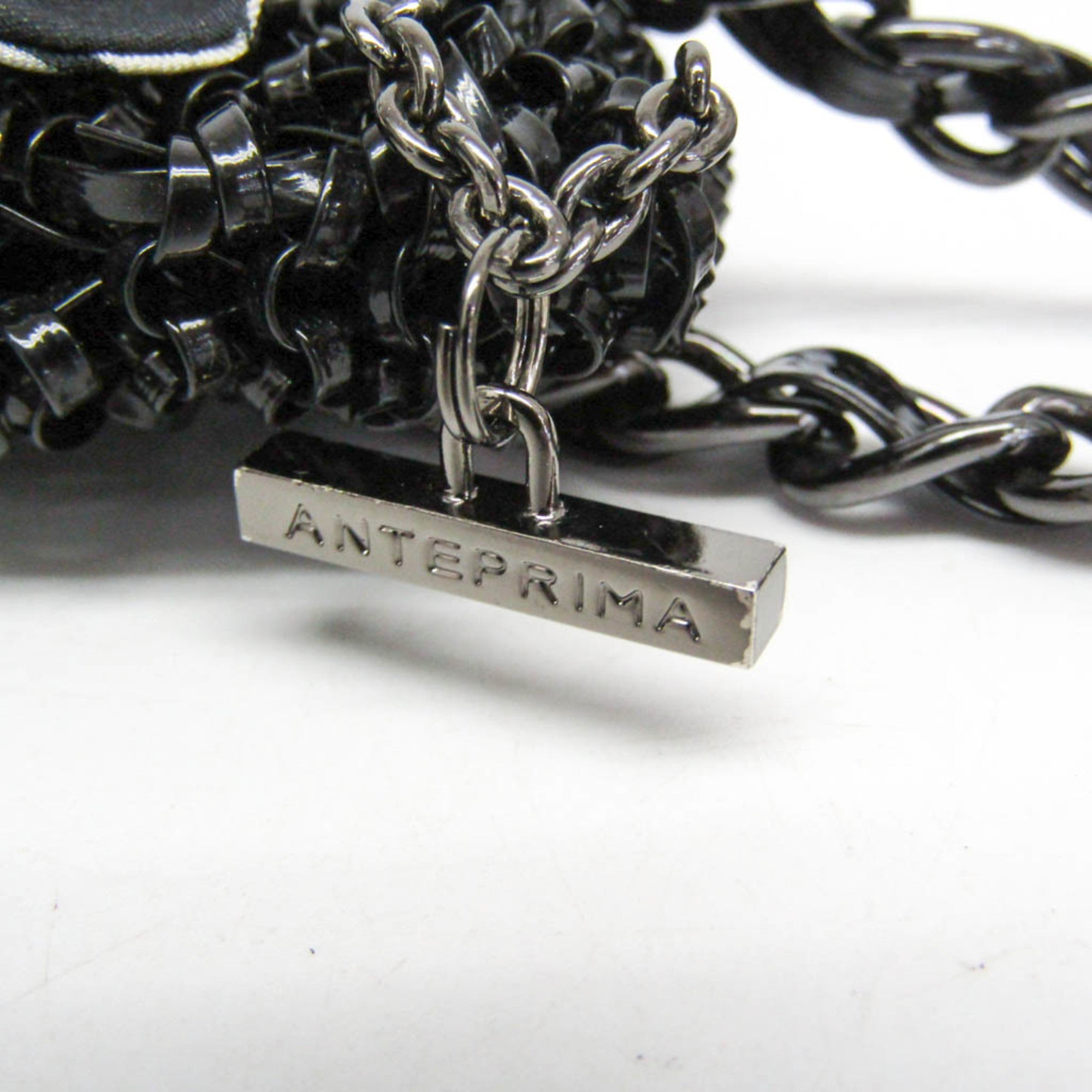 Anteprima Fascia · Wire Tote