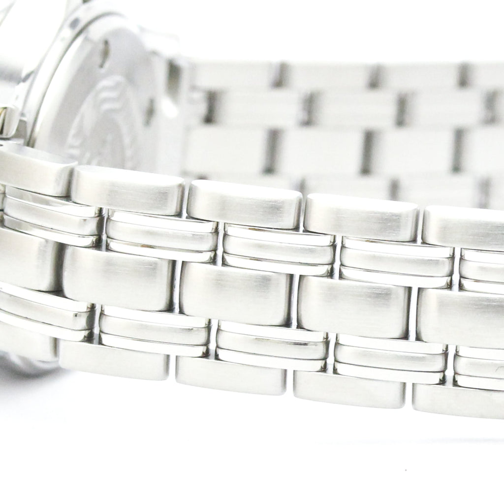 Omega Seamaster Professional 300M · Steel