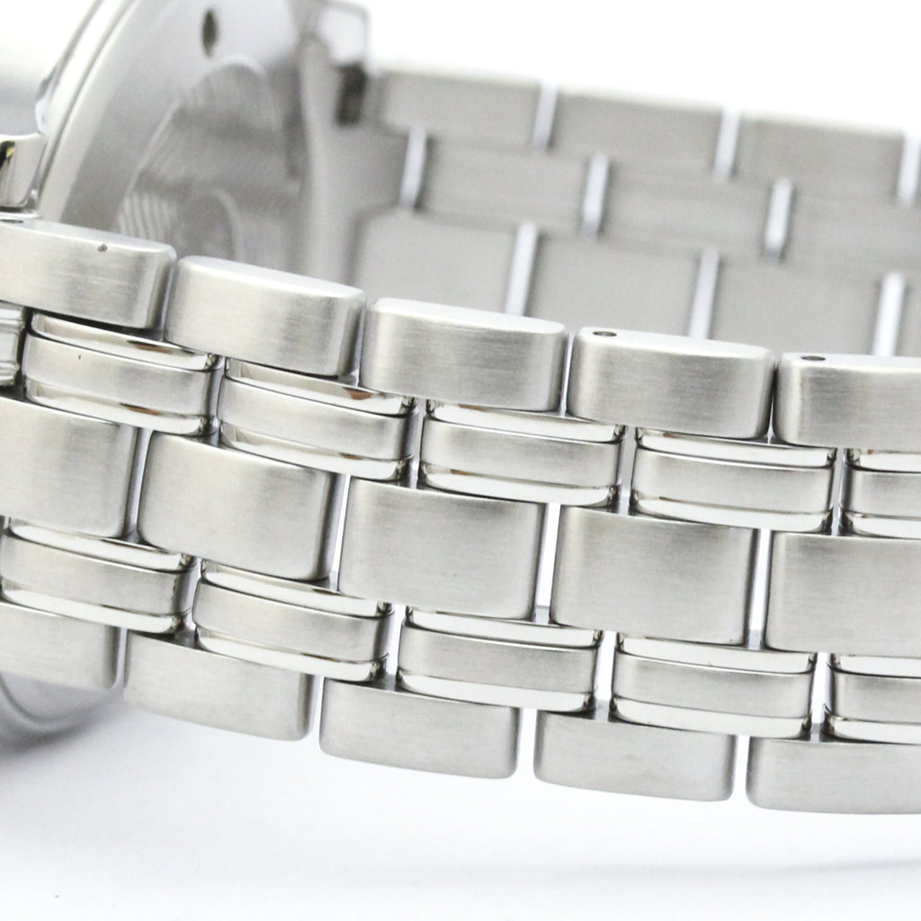 Omega Seamaster Professional 300M · Steel