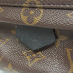 Louis Vuitton Monogram Palm Springs Mini