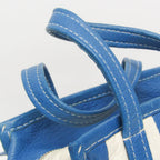 Balenciaga Bazar Shopper XS · Striped Leather