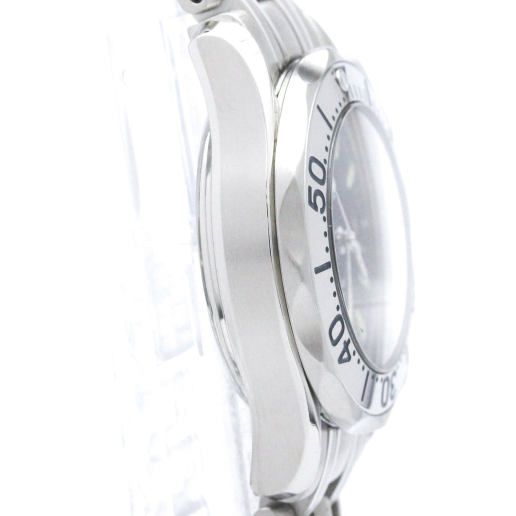 Omega Seamaster Professional 300M · Steel