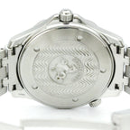 Omega Seamaster Professional 300M · Steel