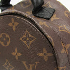 Louis Vuitton Monogram Palm Springs Mini