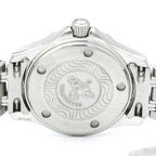 Omega Seamaster Professional 300M · Steel
