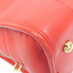 Loewe Amazona 36 · Leather