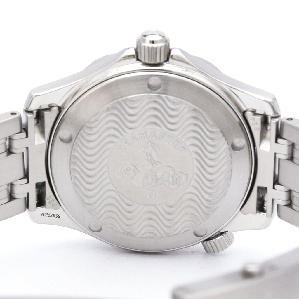 Omega Seamaster Professional 300M · Steel