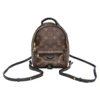 Louis Vuitton Monogram Palm Springs Mini