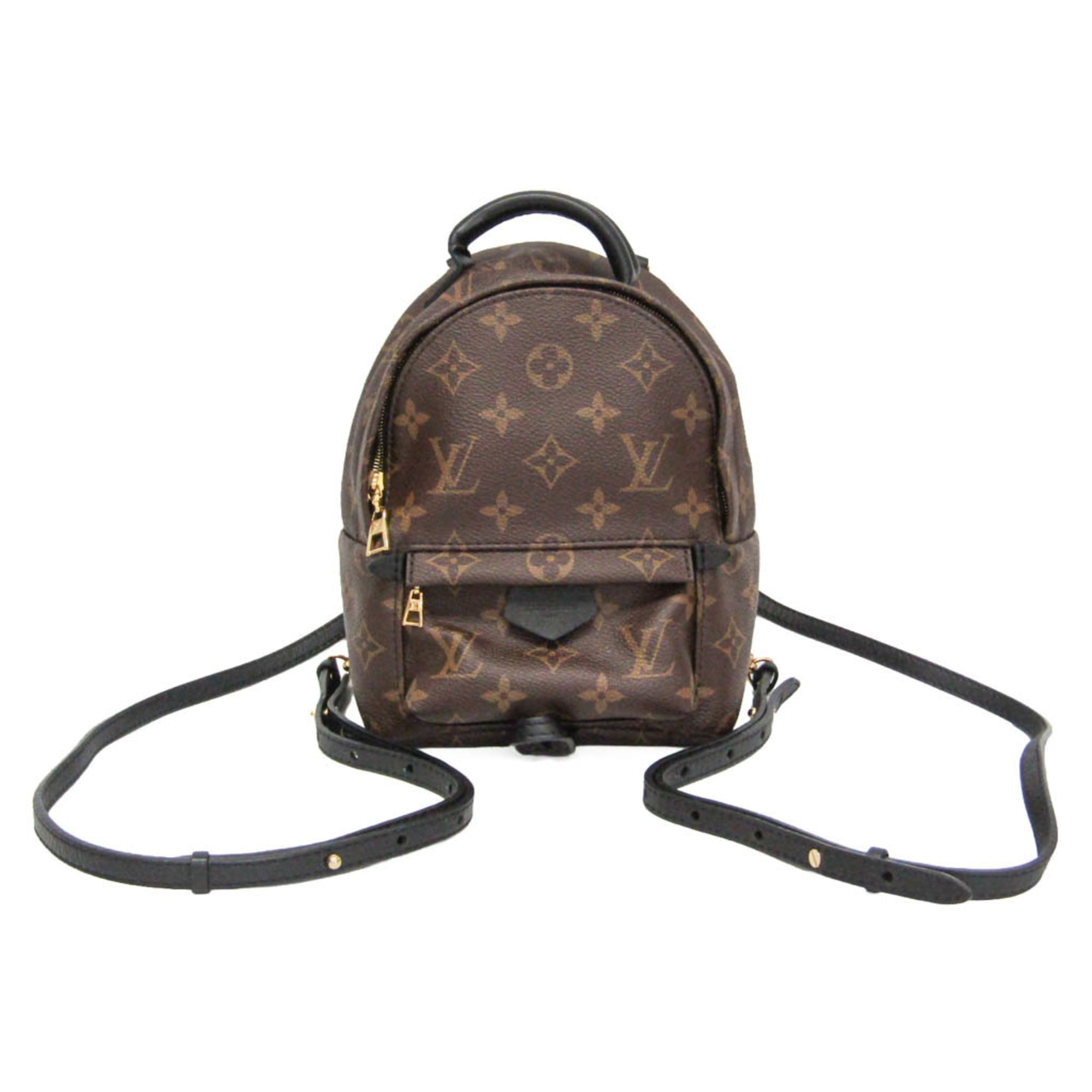 Louis Vuitton Monogram Palm Springs Mini