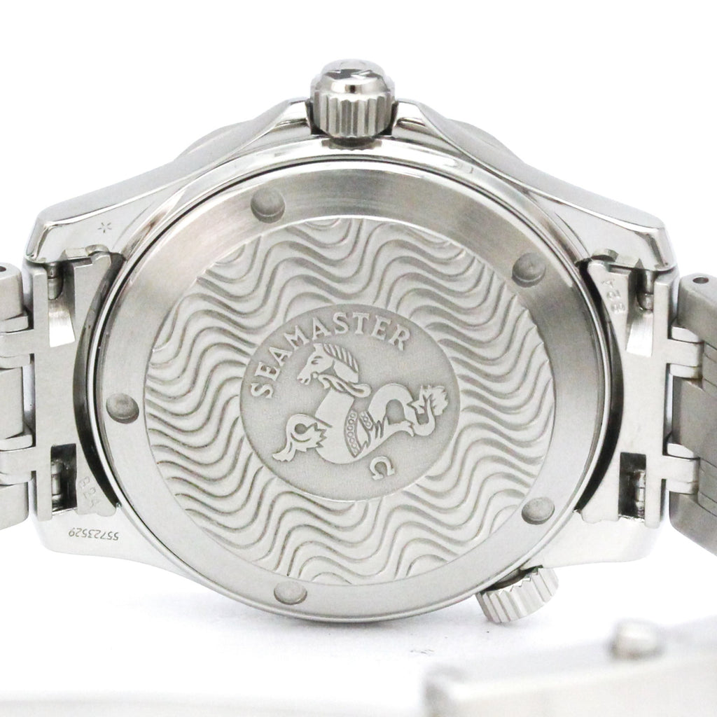 Omega Seamaster Professional 300M · Steel