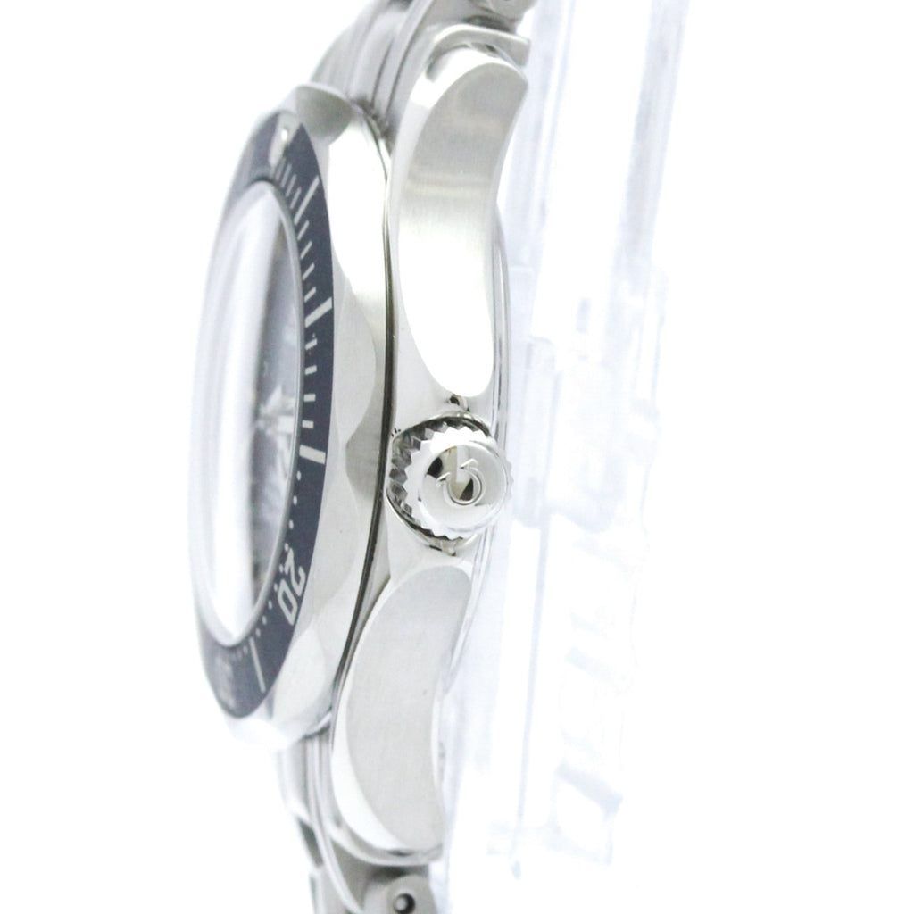 Omega Seamaster Professional 300M · Steel